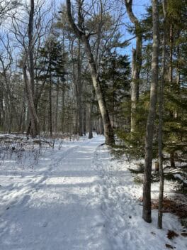 rachel carson wells maine