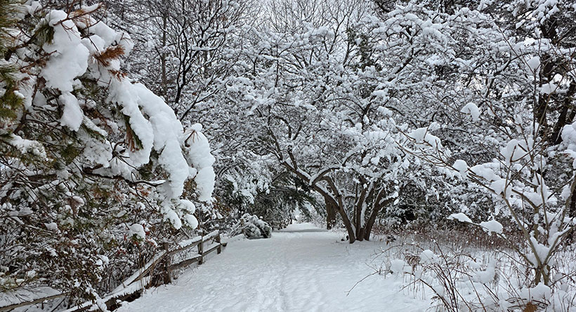 new castle commons winter