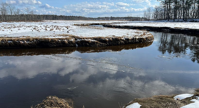 rachel carson wildlife sanctuary