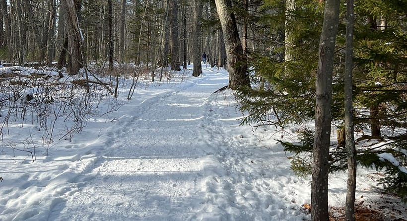 rachel carson wildlife refuge