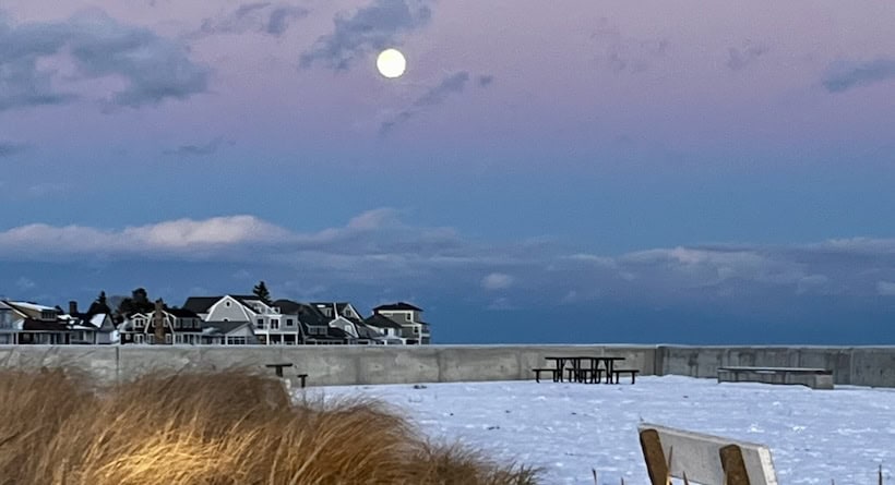 wolf moon north beach