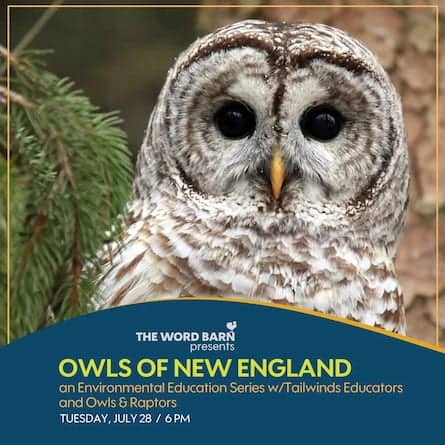 owls word barn