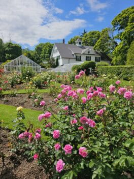 fuller gardens north hampton