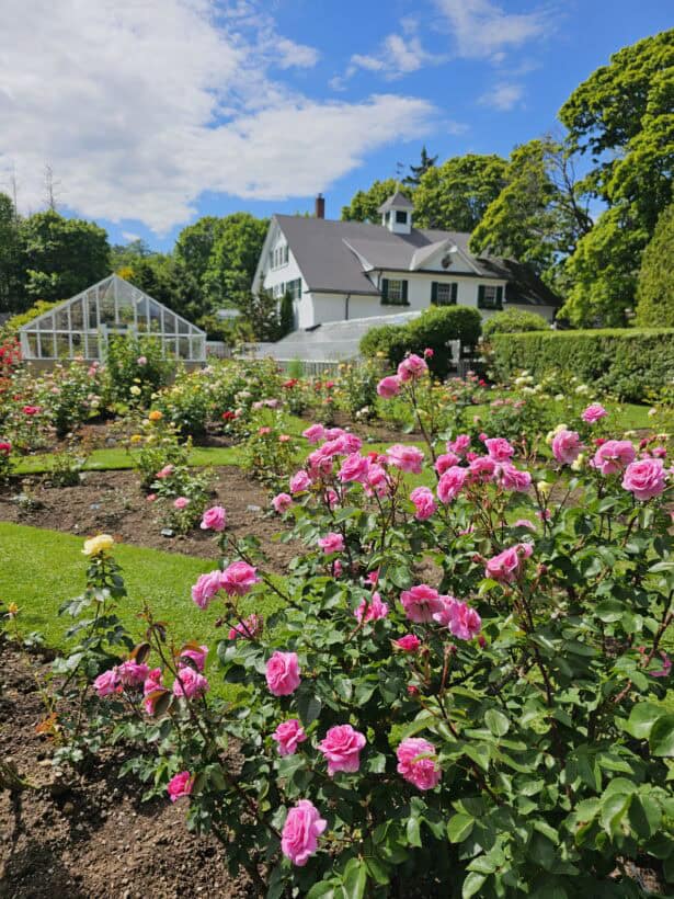 fuller gardens north hampton