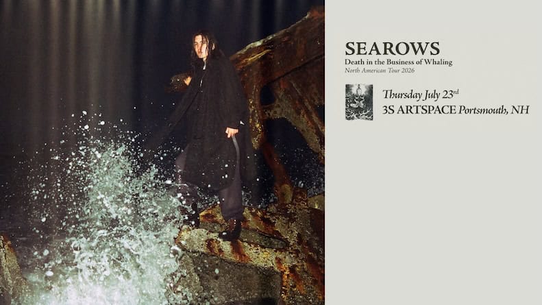searows 3s artspace