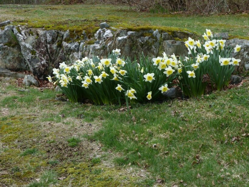 york village maine spring