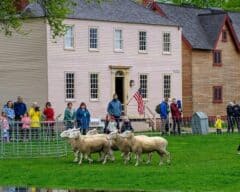 springfest strawbery banke museum