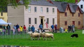 springfest strawbery banke museum