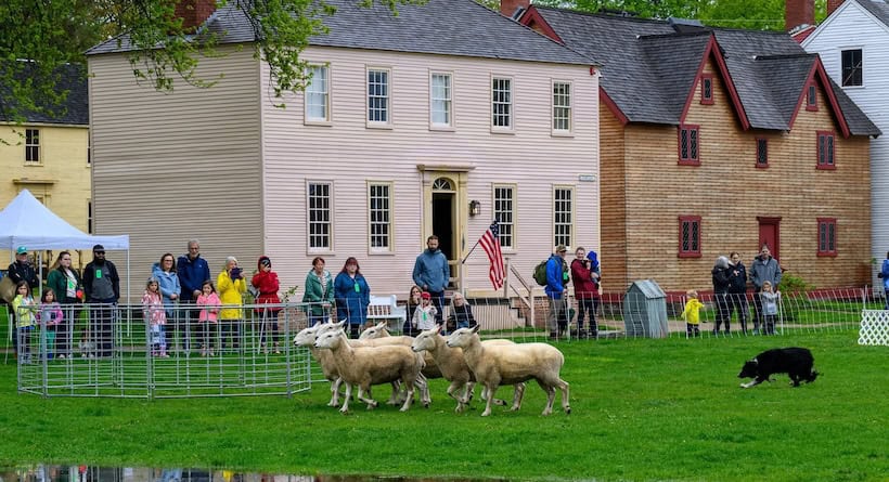 springfest strawbery banke museum