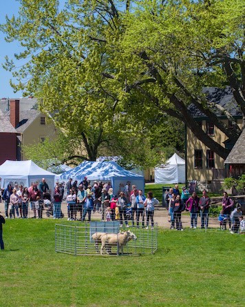 springfest strawbery banke museum