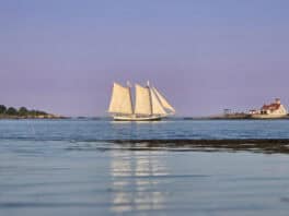 tall ship new castle