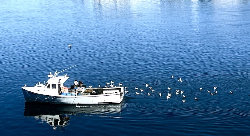 fishing boat portsmouth nh