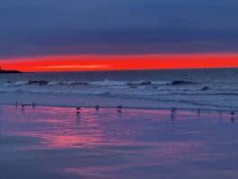 sunrise jenness beach rye
