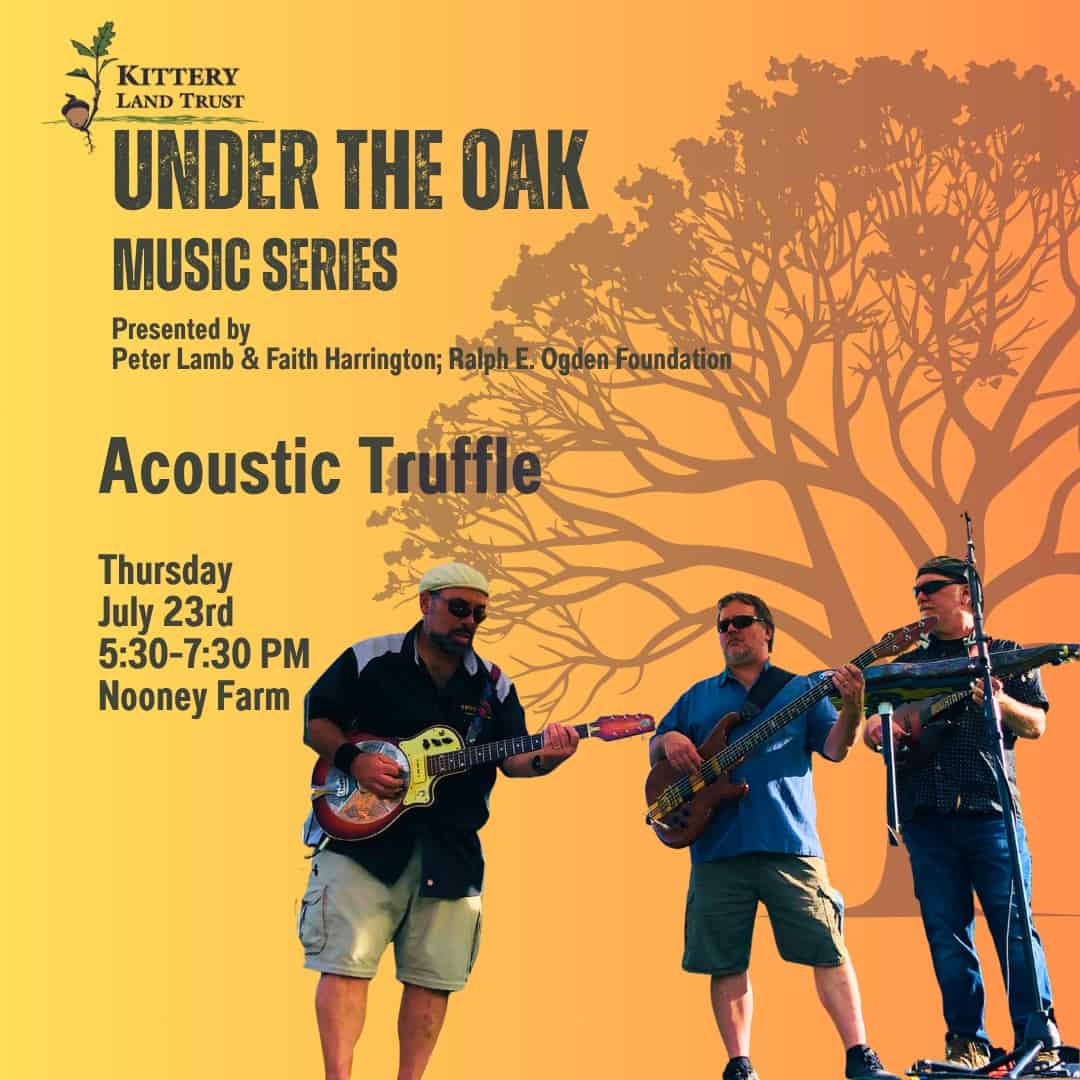 Music, Outdoors: Under the Oak Music Series Presents Acoustic