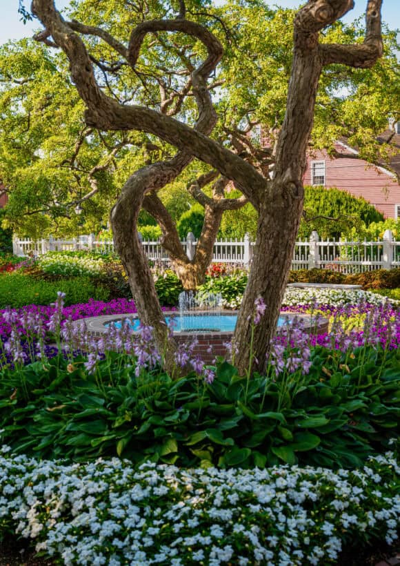 prescott park gardens portsmouth