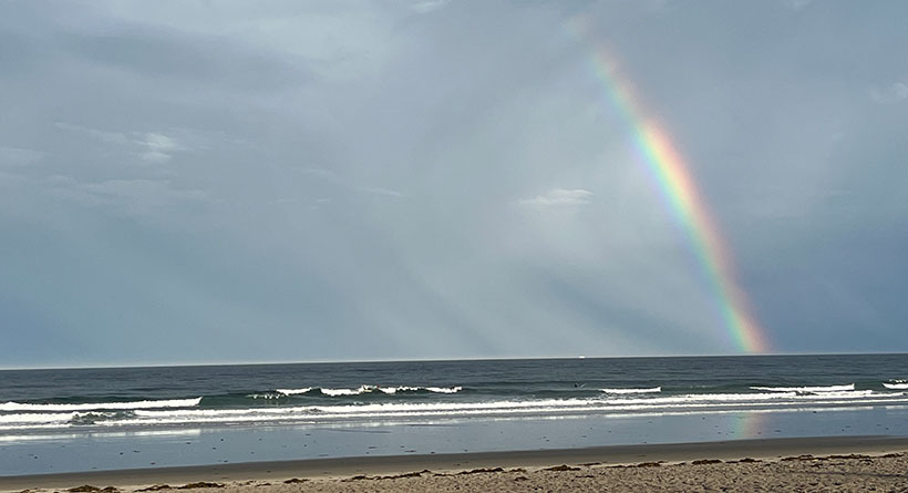 rainbow jenness beach rye
