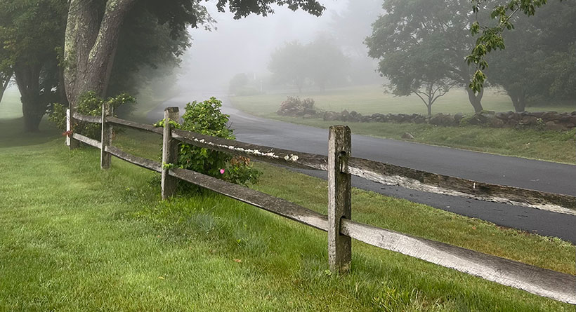 morning fog rye beach