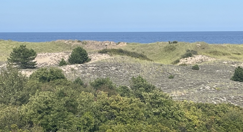 plum island dune beach