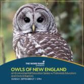 owls new england word barn