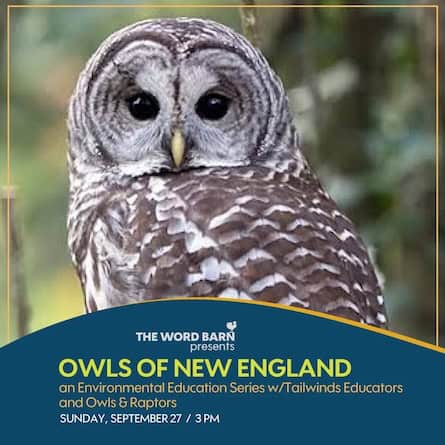 owls new england word barn