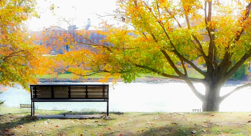 fall foliage portsmouth nh