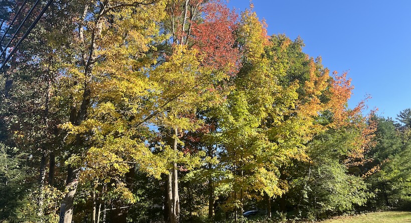 fall foliage rye nh