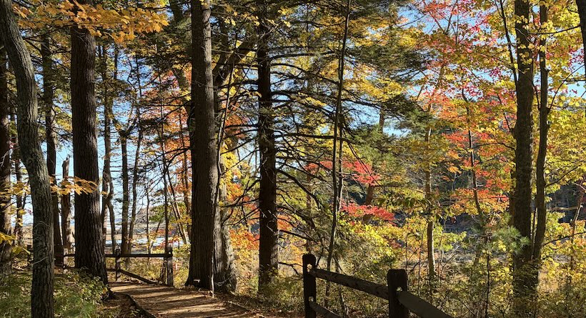 rachel carson trail wells maine
